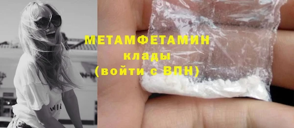 прущие грибы Осинники