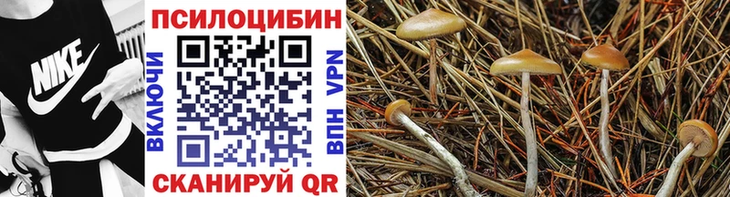 что такое наркотик Щигры Псилоцибиновые грибы Cubensis